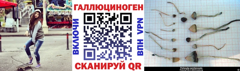 Псилоцибиновые грибы мухоморы  Чёрмоз 